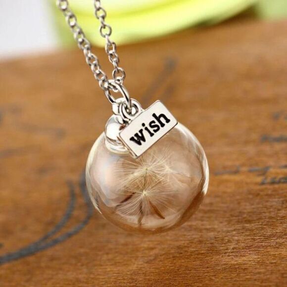 5/$25 Wish Bottle Real Dandelion Seeds Necklace - Picture 4 of 15